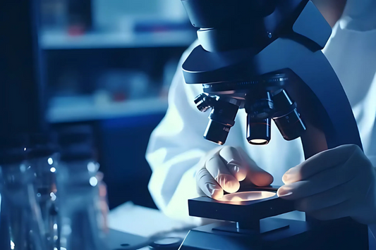 Bioavailability & Half-Life of Popular SARMs